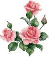 pour toi sanaa@